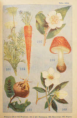 Полный русский иллюстрированный словарь-травник и цветник... СПб., 1898-1899-1901.